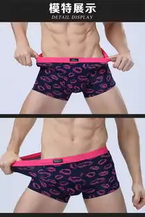  阿诗玛简约时尚男士内裤四条装