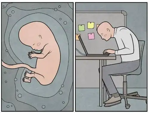  四通搬家说负能量漫画界的一股清流,你们感受下