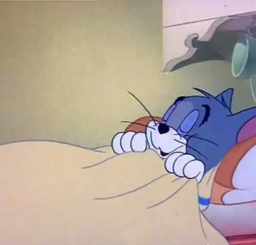  猫和老鼠睡觉表情包被窝是储存好梦的地方,而我的梦是你