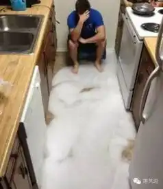  妹子这张自拍有亮点有内涵找到算你的本事