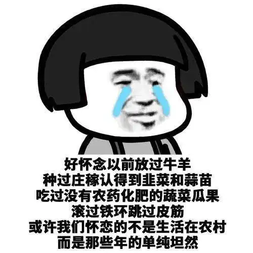 整年都空闲新宁波人国庆回老家,晒自家的房子车子与院子网友  整年都空闲新宁波人国庆回老家,晒自家的房子车子与院子网友