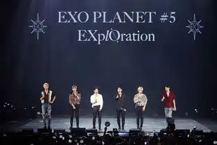  公演终结者exo新加坡演唱会盛况空前
