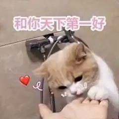  有哪些问女孩子在不在的表情包