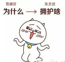  东北话里欢乐多,一不小心就笑到岔气前方高能,爆笑来袭