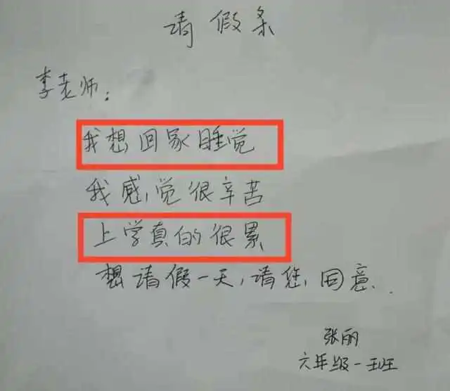  小学生奇葩请假条,感冒不重要关键二哈要生老师信息量太大
