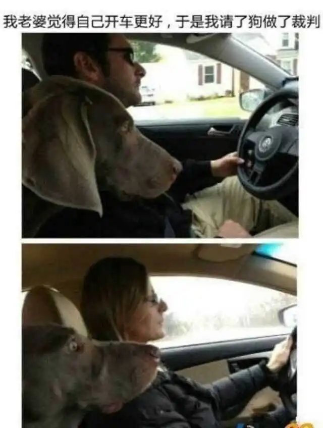 搞笑趣图坐下凳子还要放个屁吹一下真讲卫生  搞笑趣图坐下凳子还要放个屁吹一下真讲卫生