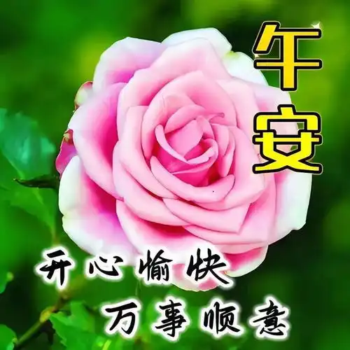  4月6日周六最美祝福图片,清晨一声早,心情无比好