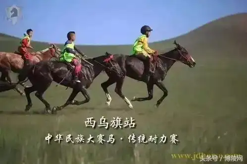  安平再次举办大赛马,6月3日相约滹沱河,角逐总决赛