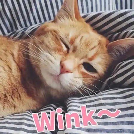  中国有钱人最多的城市,宁波居然排在猜对的有没有