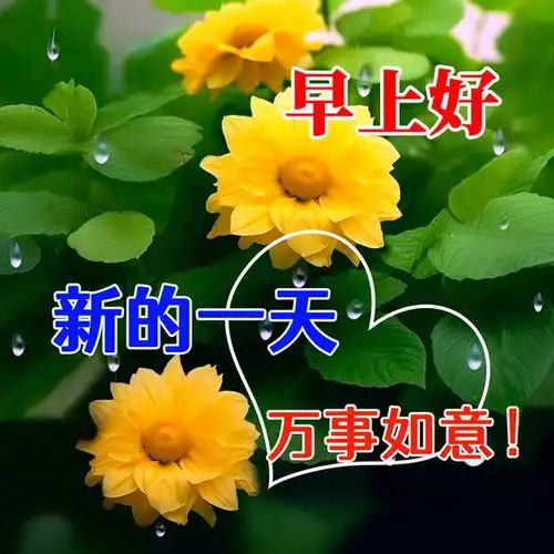  沐浴阳光的早上好问候语,幸福温馨的早安祝福语唯美图片
