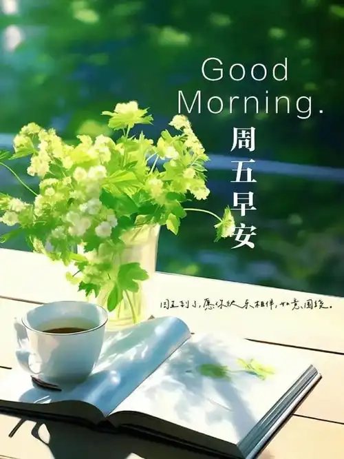  2024年6月29日农历五月廿四祝福图片星期六最新问候美图周六愉快
