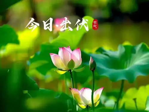  8月24日周末快乐,好运连连快乐周末