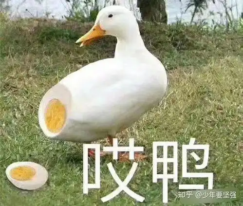  想知道亚马逊卖的东西是正品吗