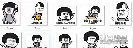  我被猪艾特了表情包我被猪艾特了图片v2017高清版软件下载