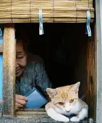 别生气了好吗,奶奶给你买小鱼吃hao123网址导航  别生气了好吗,奶奶给你买小鱼吃hao123网址导航