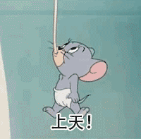 萌猫咪搞笑动态图片闪动