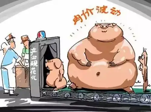 八年猪价创新低,百万养猪人何去从  八年猪价创新低,百万养猪人何去从