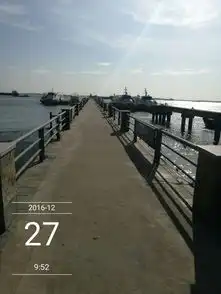 一波三折红嘴鸥湛江游记攻略  一波三折红嘴鸥湛江游记攻略