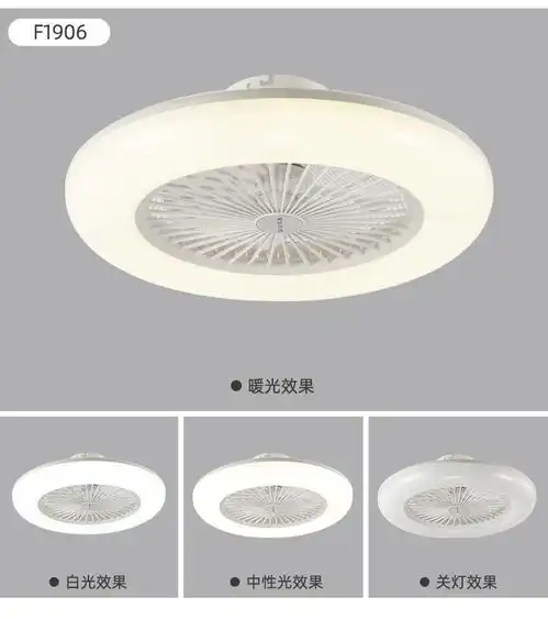  汤河店隐形风扇吊灯客厅卧室吸顶灯家用简约现代带电扇的led餐厅风扇灯a