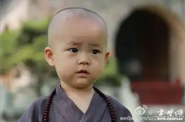  武当山玉虚宫小和尚萌翻天