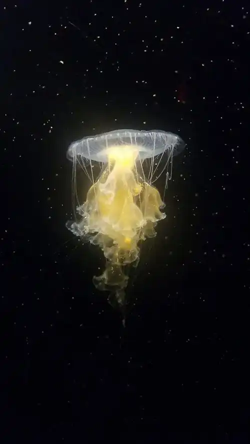  让人凌乱的30张错觉照片,真的没有ps