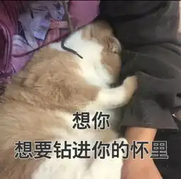  如何结束qq尬聊给你抖音最潮4张污污表情包,分分钟脱单