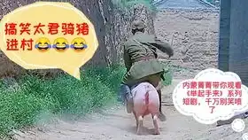  举起手来系列短剧一太君骑猪进村