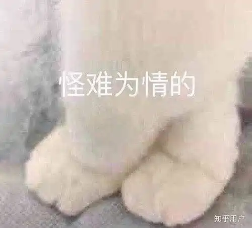 睡觉图片搞笑 表情文案