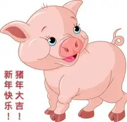  下一张是什么图片