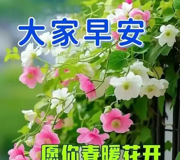  与众不同的早安问候语早安祝福图,温馨而漂亮