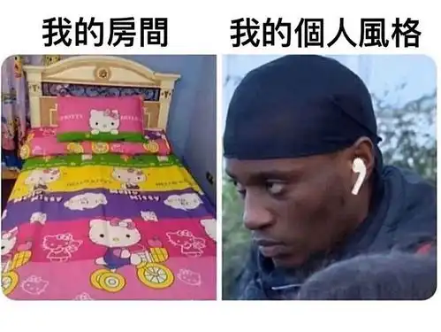 搞笑趣图我自己的房间风格vs我本人的风格  搞笑趣图我自己的房间风格vs我本人的风格