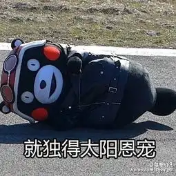  熊本熊夏天表情包