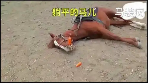 躺平动物搞笑图片