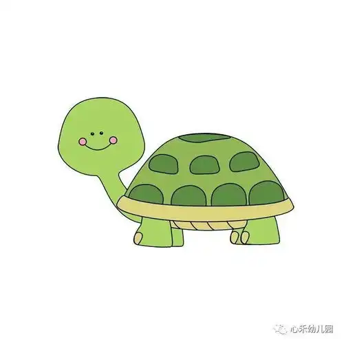 小乌龟上幼儿园  小乌龟上幼儿园