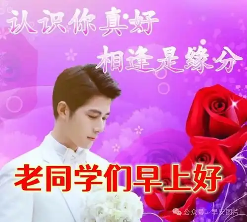  2024年8月25日周日精选早安祝福图片,雨过菊花香,又感秋风凉早安祝福美图分享给您网易订阅
