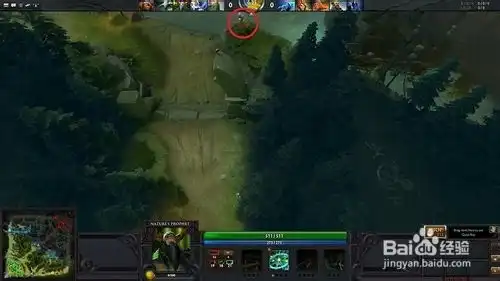  dota2怎么插眼