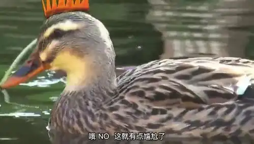 鸭鸭们快乐时光看鸭中王者和鸭中绅士的黑历史时刻有趣