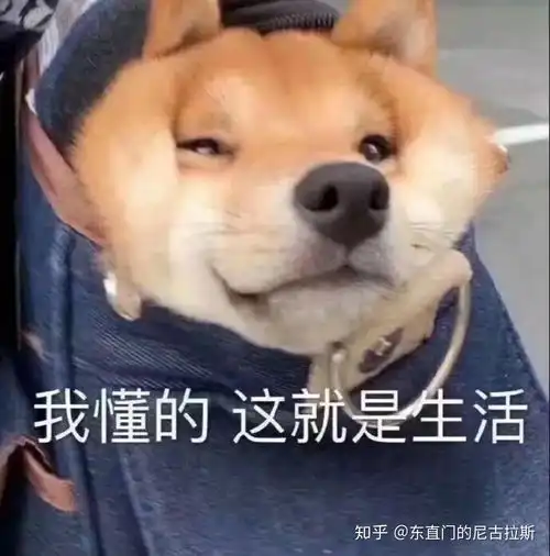  无意选中了中外合作办学或者西交利物浦这种学校而交不起学费怎么办