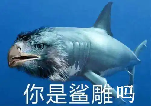  打了麻醉以后,病人做了哪些搞笑的事让你笑出了腹肌,请问是打麻醉打傻了