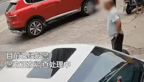  江西一老人佯装过路,手持尖物对私家车下手,多辆车子被其划伤