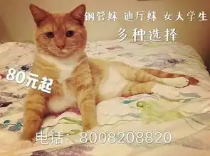  上海惊现吸猫会所,网友多地实拍地下猫色场所