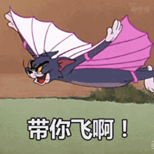  猫和老鼠gif动态表情包