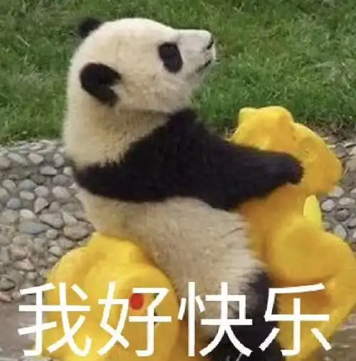 没你不行熊猫头表情包开