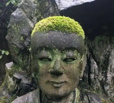 搞笑奶奶图片老奶奶