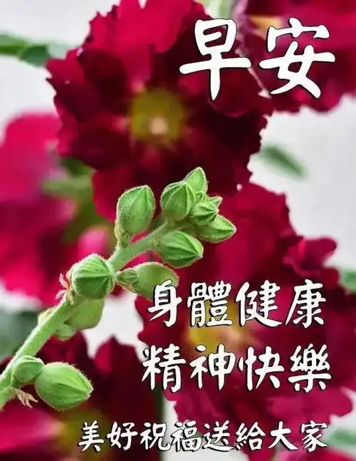  新的一天问候大家早上好漂亮动态表情图片,早晨好漂亮问候祝福语句子