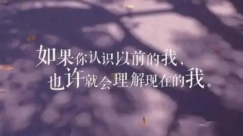  一个人心情不好的句子,适合用来发朋友圈