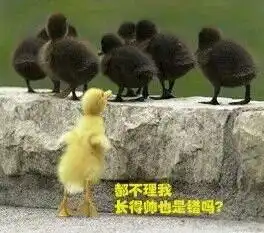  鸭子搞笑图片笑话搞笑鸭子搞笑图片精选爆笑鸭子搞笑图片大全第2页别逗了