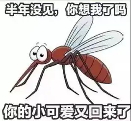  太皮了情侣楼下吵架室友实况解说