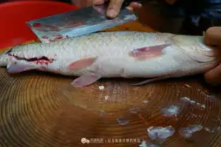  寻味顺德一鱼百味一场鱼的盛宴