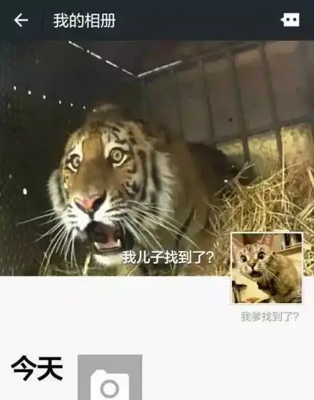 最近抖音上最搞笑的截图,哈哈哈哈哈每一个都笑到窒息  最近抖音上最搞笑的截图,哈哈哈哈哈每一个都笑到窒息